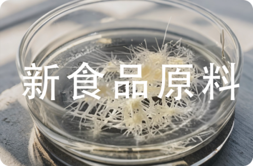 新食品原料